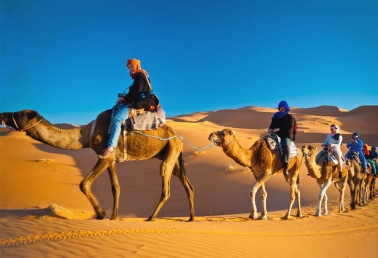 https://magical-dubai.com/wp-content/uploads/2022/05/Morning-Desert-Safari-and-Camel-Riding2-768x525.jpg